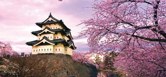 ofertas_japao_cerejeira_535x250.jpg