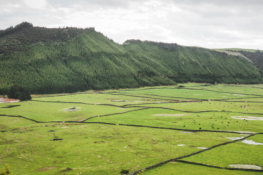 terceira-santa-maria-sao-miguel-212_4.jpg