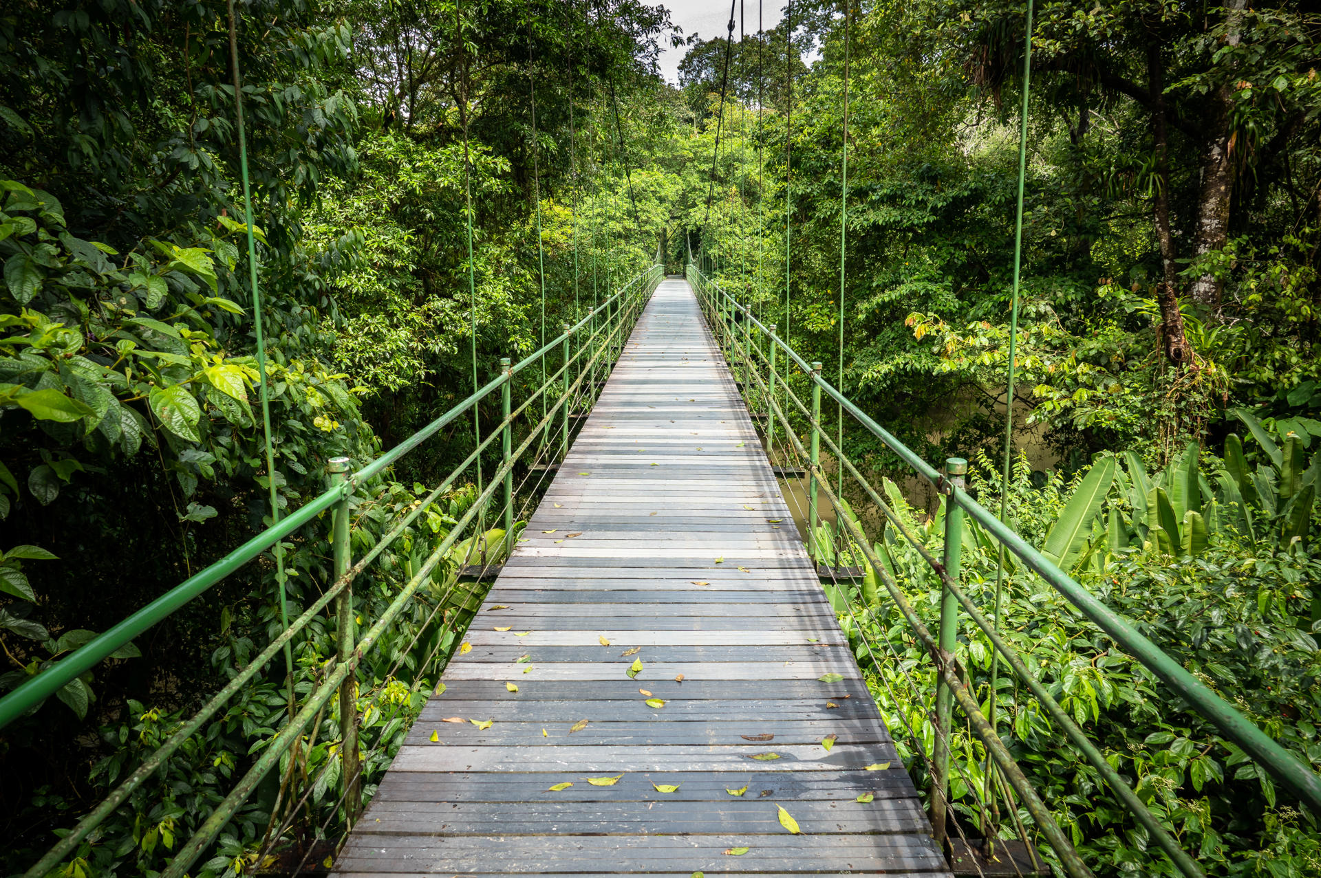 costa-rica-com-encanto-e-manuel-antonio_1.jpg