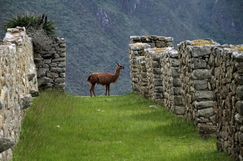 grande-peru-221_2.jpg