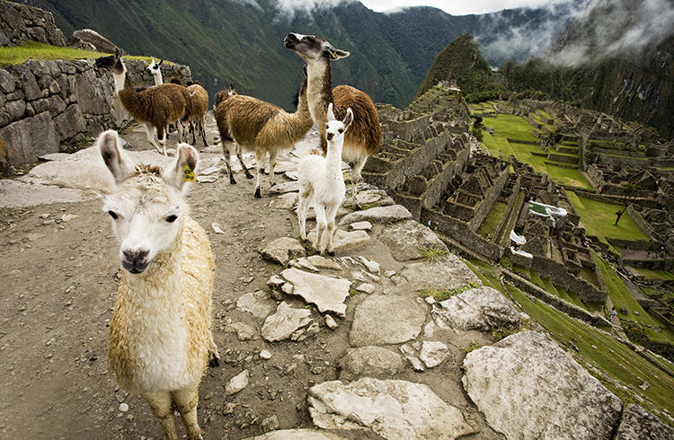 machu-picchu-e-mancora-7562_5.jpg