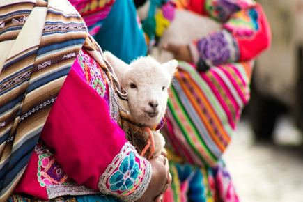peru-express-3629_0.jpg