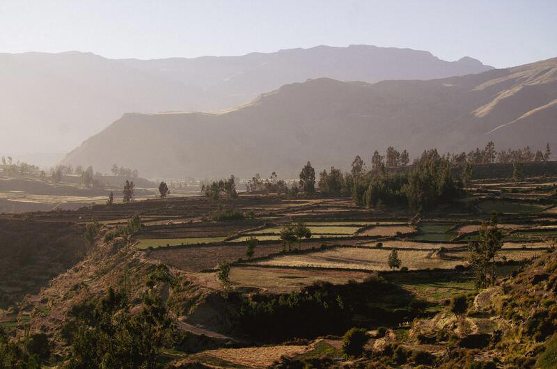 peru-express-3629_15.jpg