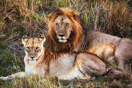 rumo-a-manyara-maldivas-5574_0.jpg