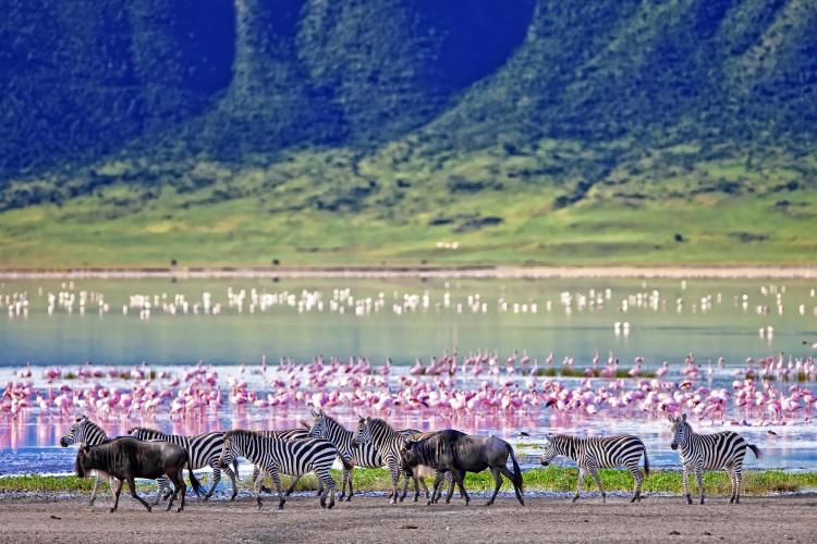 rumo-a-manyara-maldivas-5574_4.jpg
