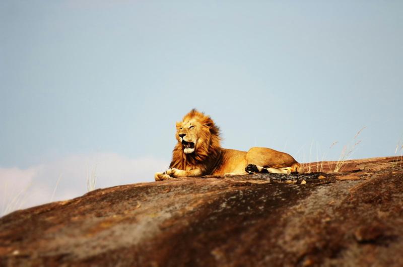 safari-essencias-da-tanzania-maldivas-5328_4.jpg
