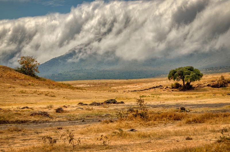safari-essencias-da-tanzania-mauricia-5327_2.jpg