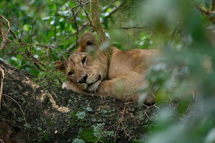safari-essencias-da-tanzania-zanzibar-5326_0.jpg