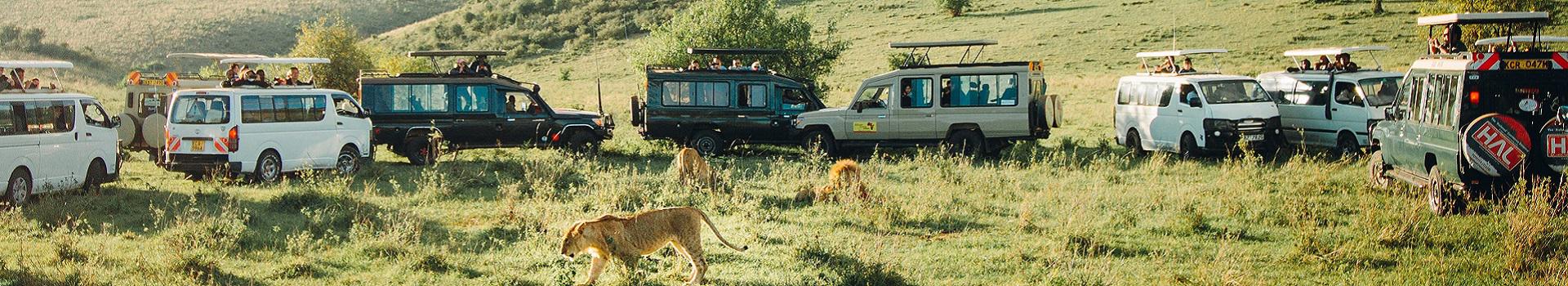 safari-horizontes-do-quenia-mahe-5579_5.jpg