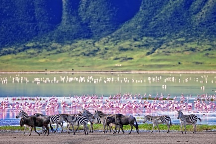 safari-ngorongoro-zanzibar-722_0.jpg