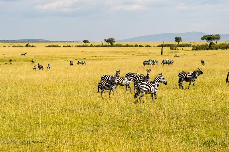 safari-rift-valley-zanzibar-236_0.jpeg