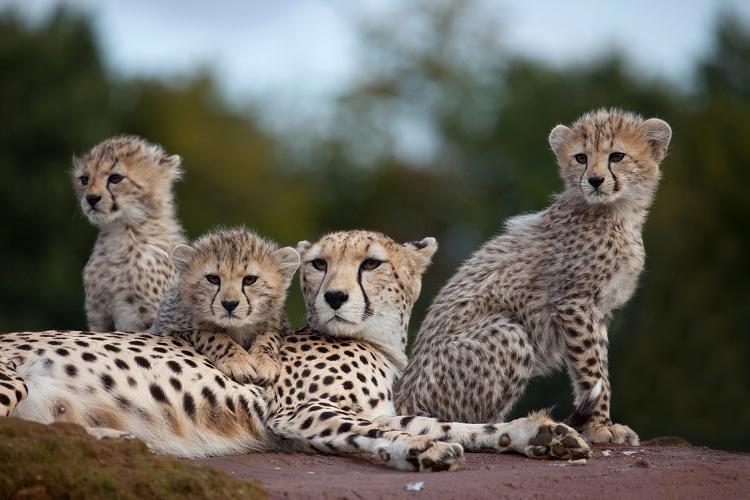 safari-rift-valley-zanzibar-236_2.jpg