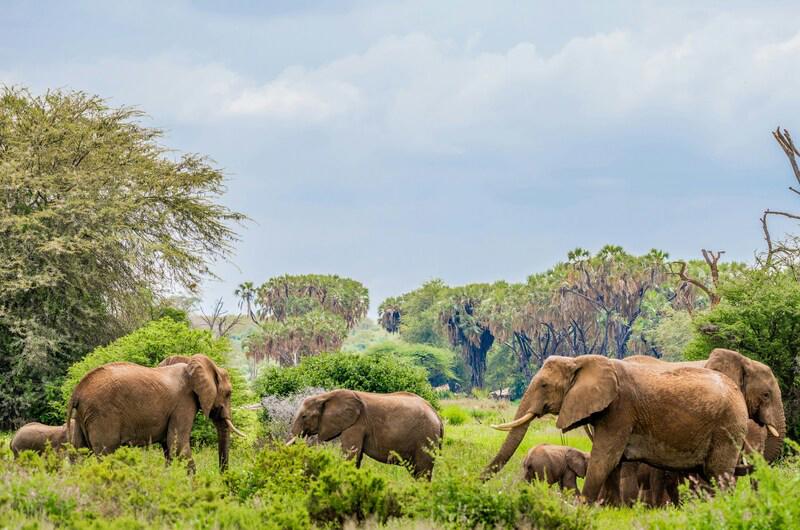 safari-twiga-privado-zanzibar-5039_13.jpg