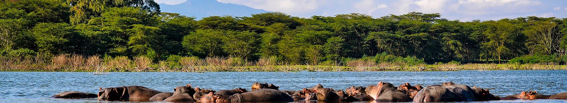 safari-twiga-privado-zanzibar-5039_8.jpg