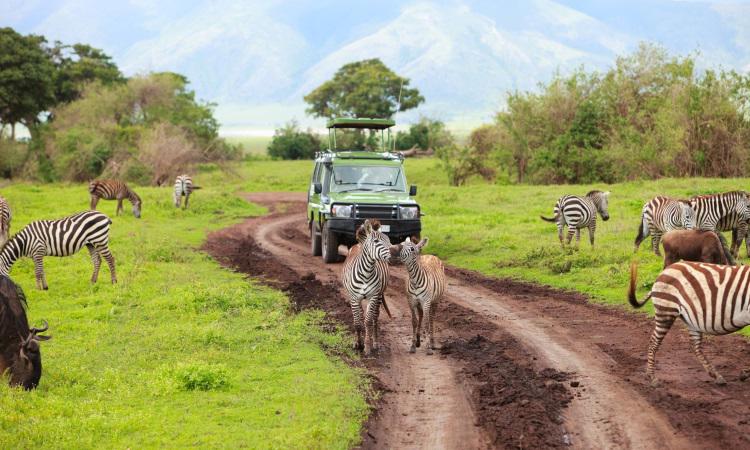 tanzania-de-encanto-4409_3.jpg