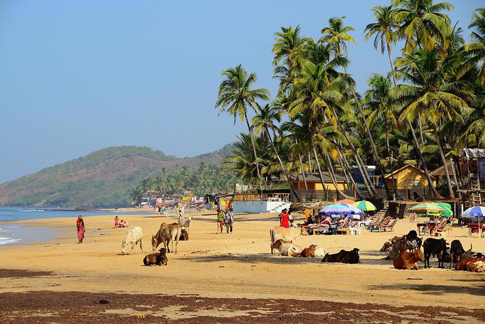 india-encantada-com-goa-e-bombaim-989_6.jpg