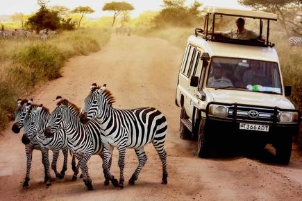 mufasa-safari-com-zanzibar-629_0.jpg
