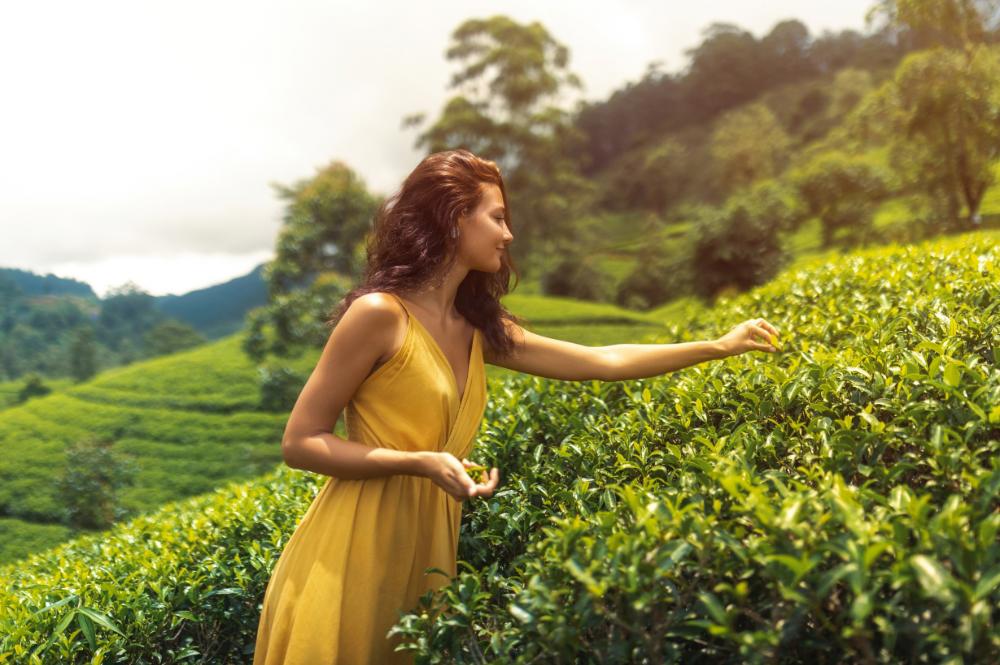 sri-lanka-a-grande-viagem-exclusivo-tempo-1344_0.jpg