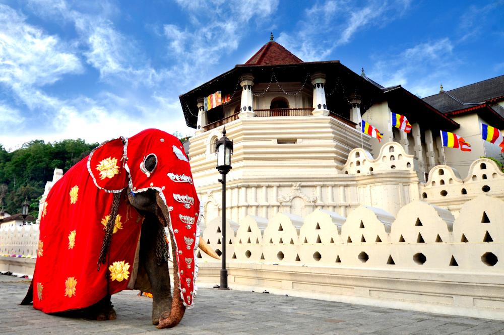 sri-lanka-a-grande-viagem-exclusivo-tempo-1344_10.jpg