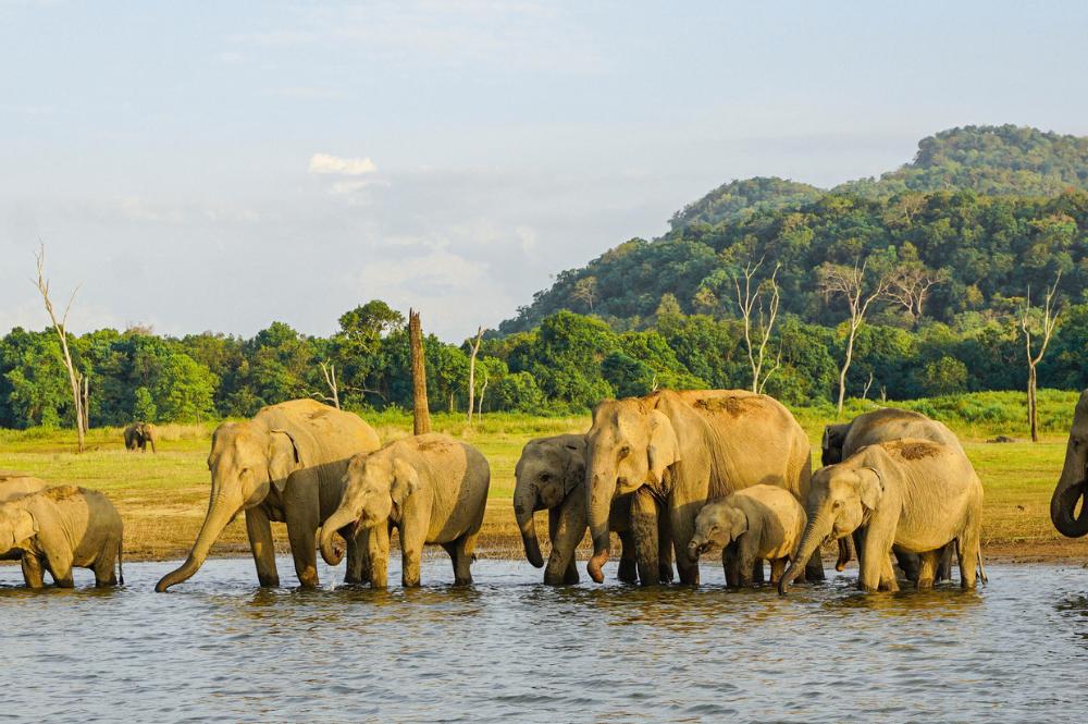 sri-lanka-a-grande-viagem-exclusivo-tempo-1344_3.jpg