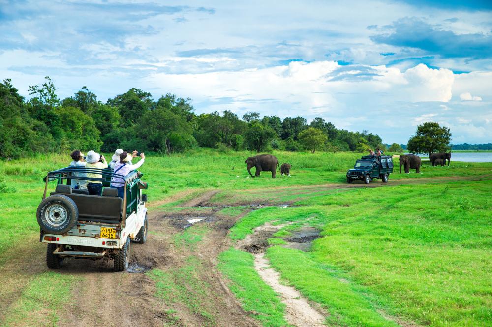 sri-lanka-a-grande-viagem-exclusivo-tempo-1344_5.jpg