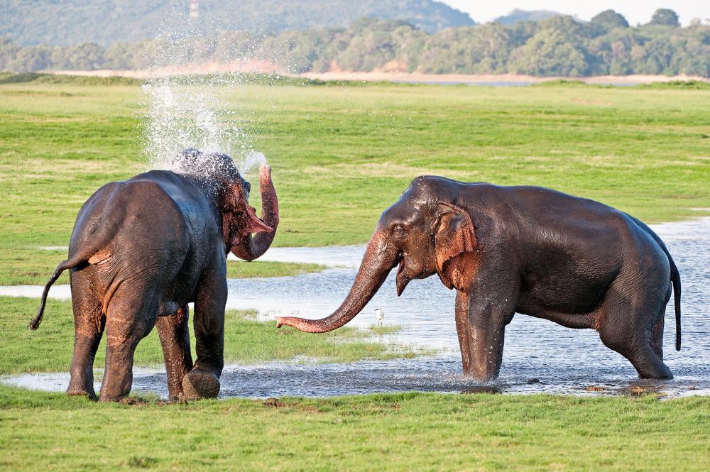 sri-lanka-a-grande-viagem-exclusivo-tempo-1344_8.jpg